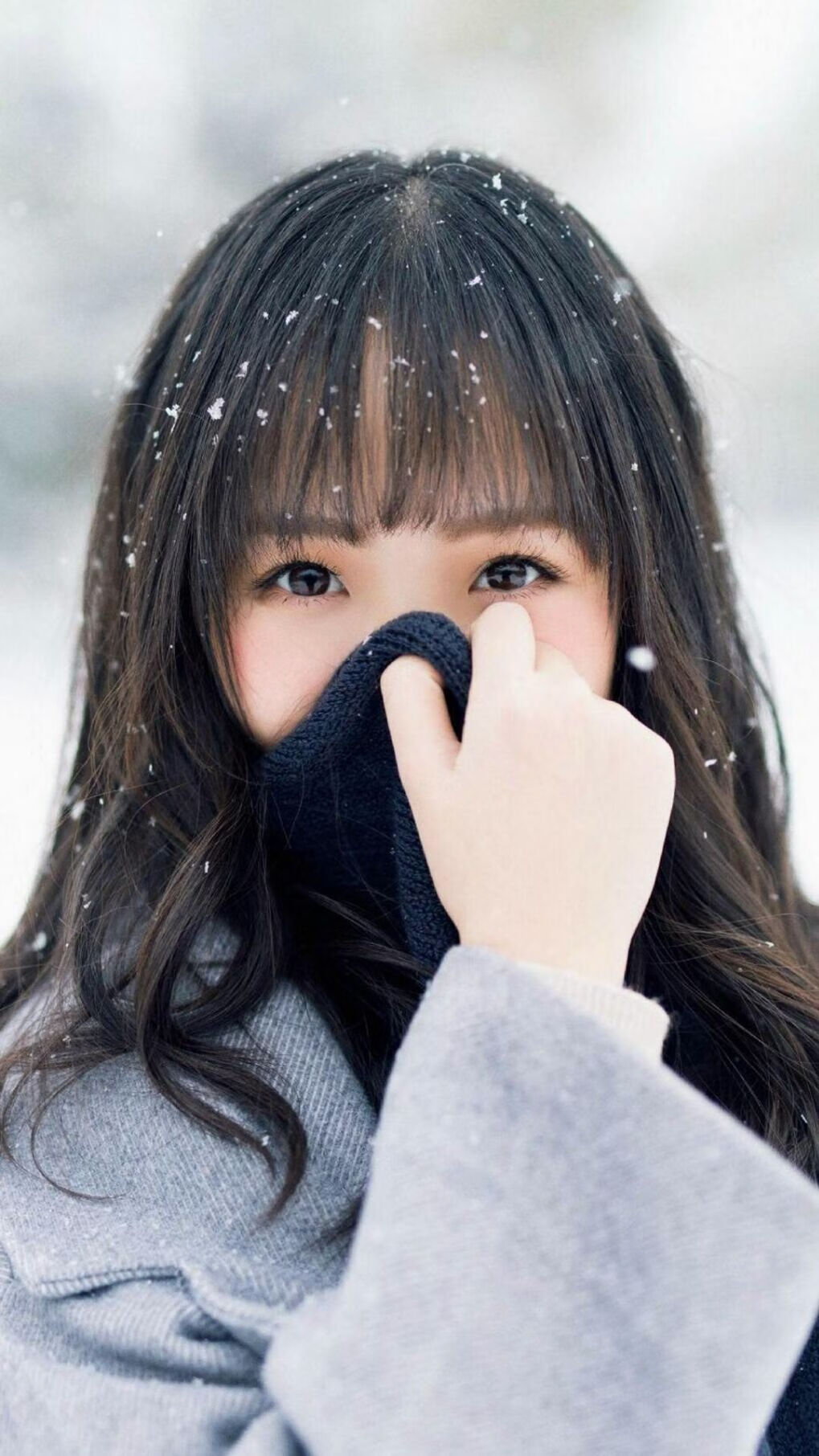 星际争霸2年度锦标战线上预赛天梯开启，星际争霸二赛事