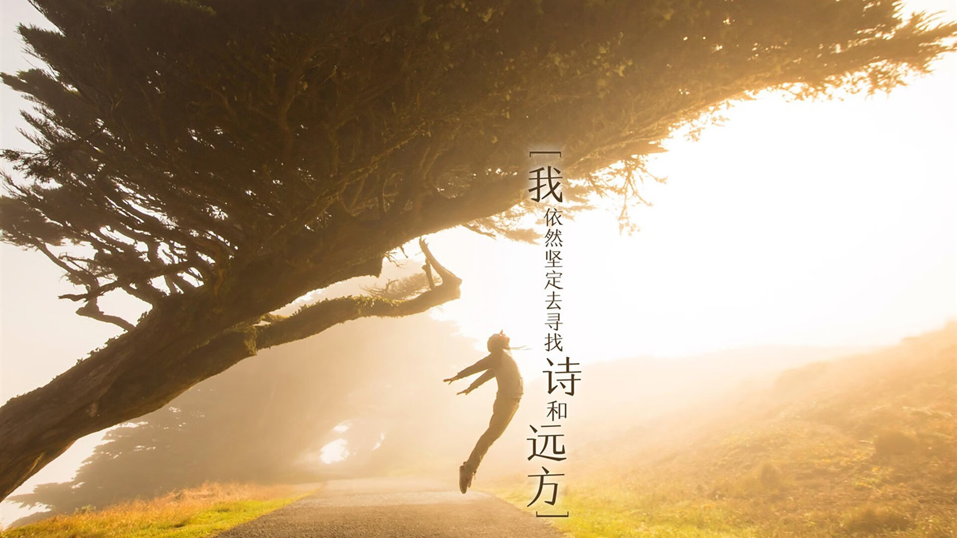 Kaiyun官方登录入口-凯恩重新出山，前锋成为球队进攻核心，凯恩的球队