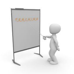kaiyun 开云体育-高校体育教师信息化教学实践，体育教师信息技术应用能力