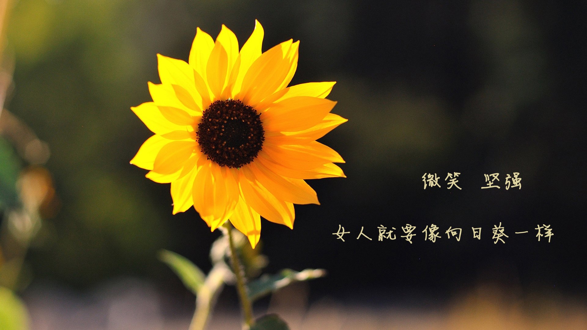 开云体育在线赛事直播-国家队内部缺乏多层级沟通反馈机制，国家队内部缺乏多层级沟通反馈机制怎么办
