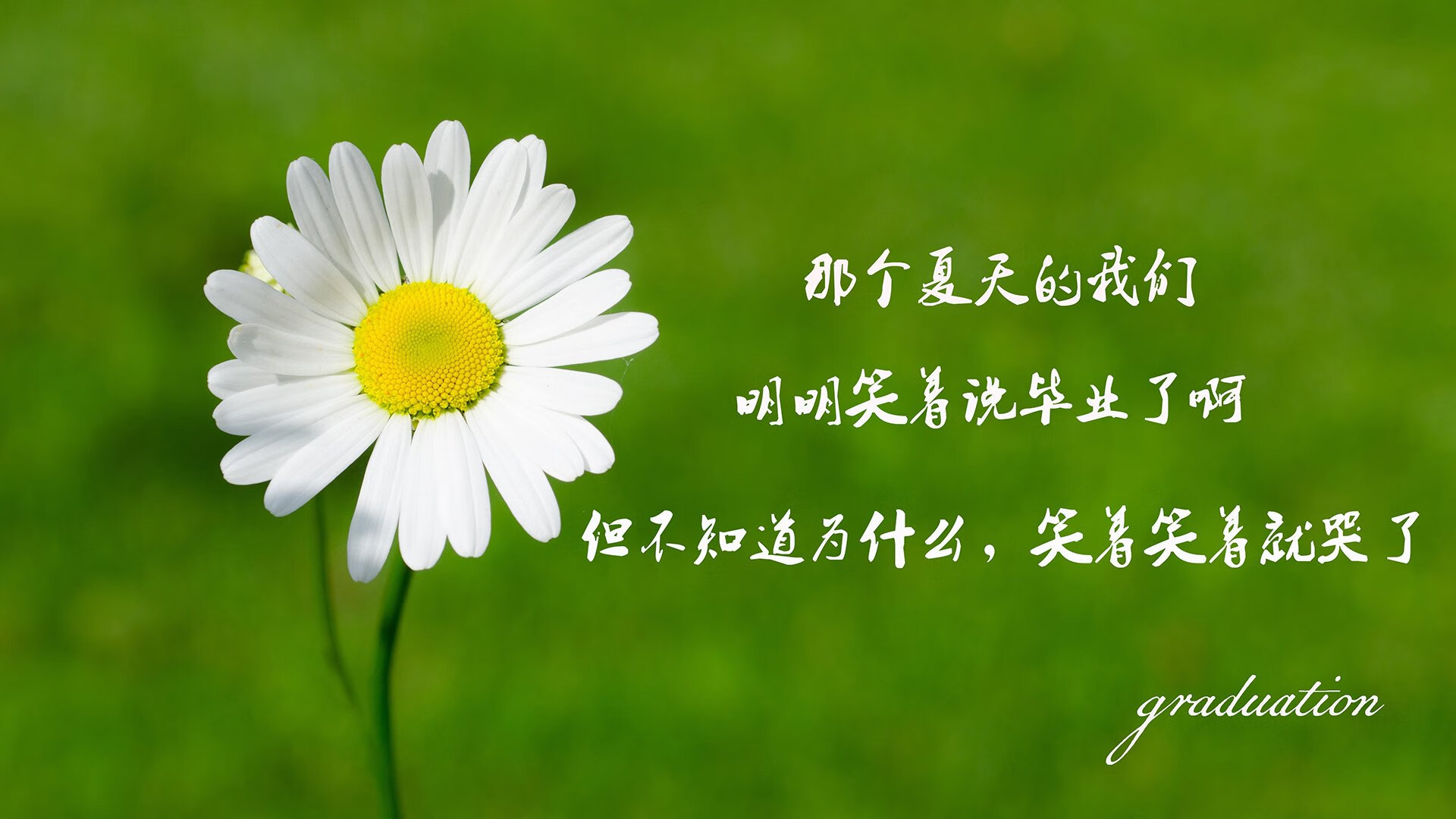 kaiyun中国官方网站-意甲青训营的国际合作成果，意甲青训营的国际合作成果怎么样